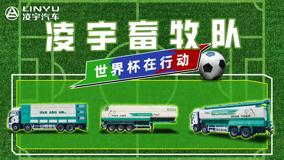 奪冠世界杯！你注意到這支球隊了嗎？